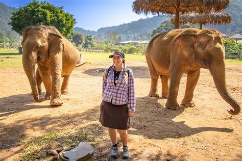 Best Elephant Sanctuaries in Chiang Mai: Ethical Animal Encounters .